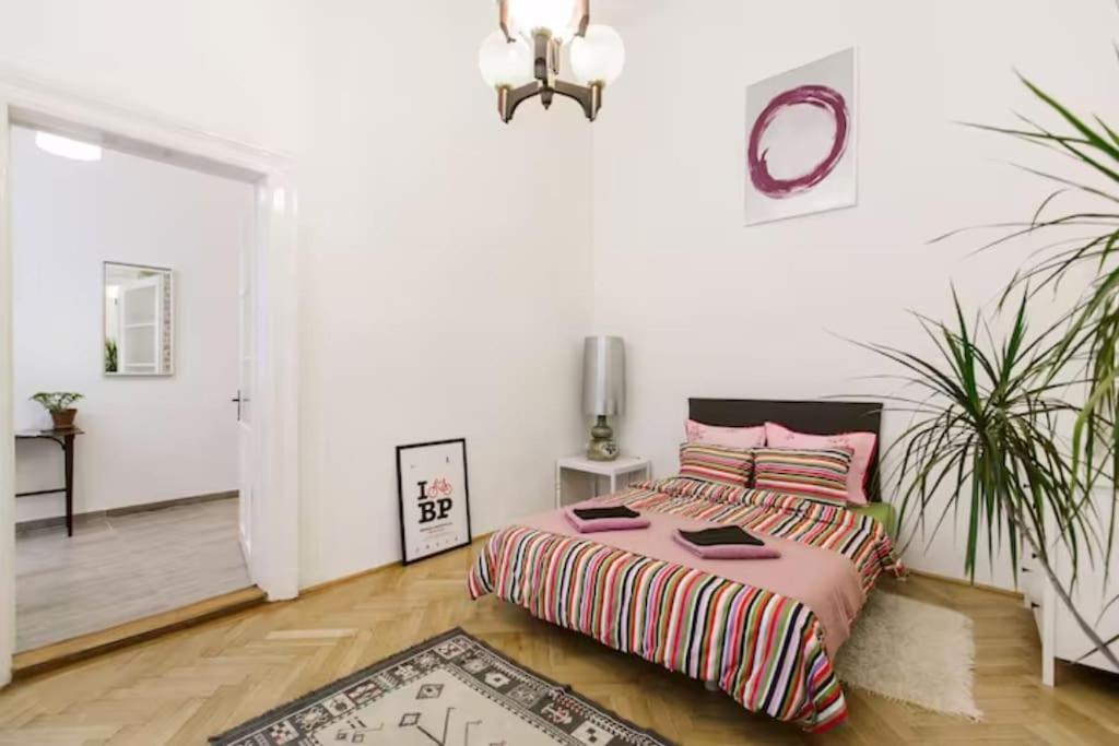 Apartment Kiraly Street