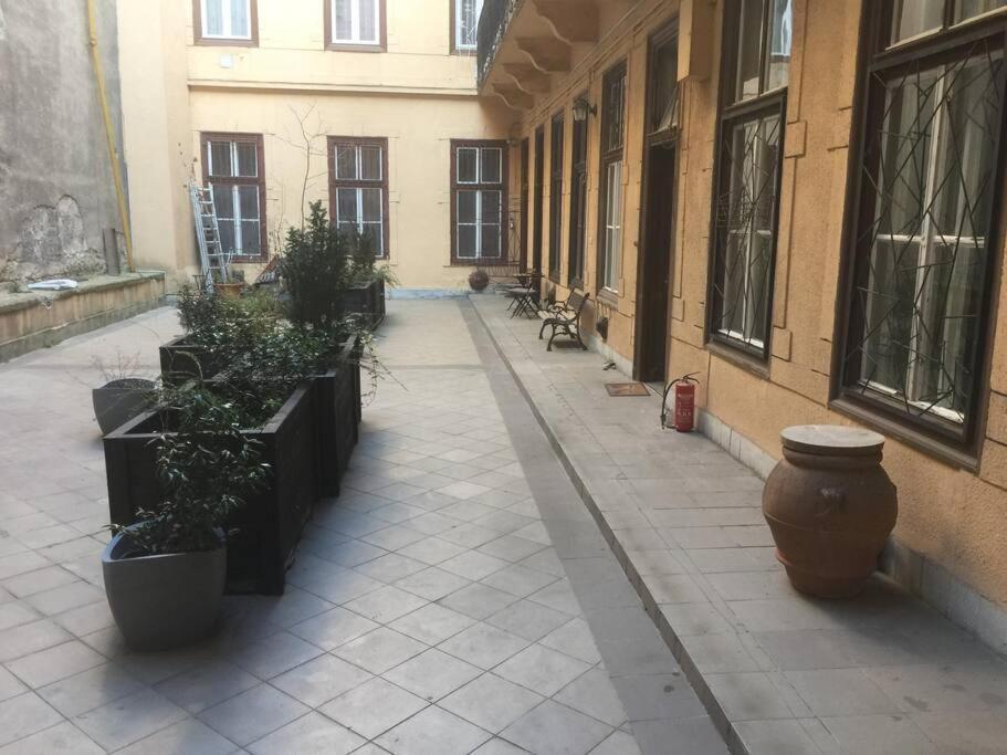 Kiraly Street Apartment